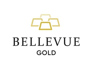 client_logo-bellevue